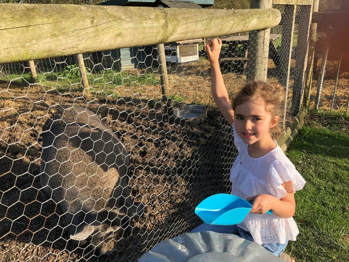 Willow Court Farm The Lodge & Petting Farm, 8 Mins From Legoland & Windsor, 15 Mins From Lapland Uk Exterior foto