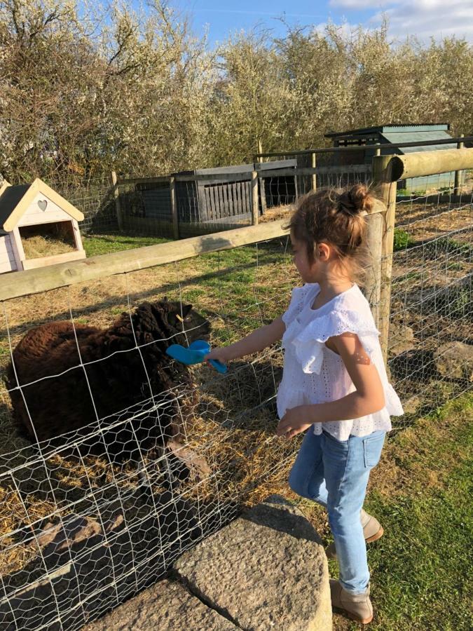 Willow Court Farm The Lodge & Petting Farm, 8 Mins From Legoland & Windsor, 15 Mins From Lapland Uk Exterior foto
