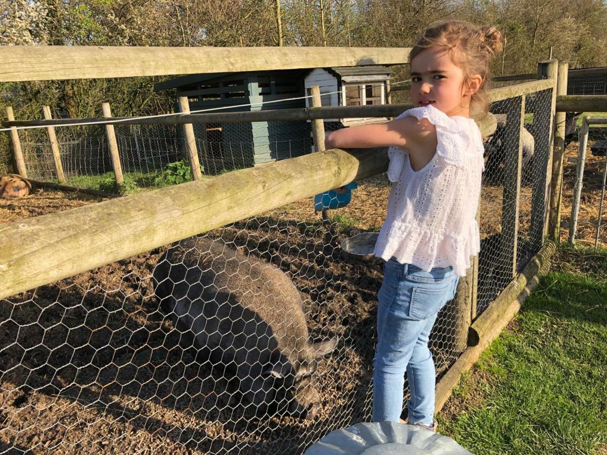 Willow Court Farm The Lodge & Petting Farm, 8 Mins From Legoland & Windsor, 15 Mins From Lapland Uk Exterior foto